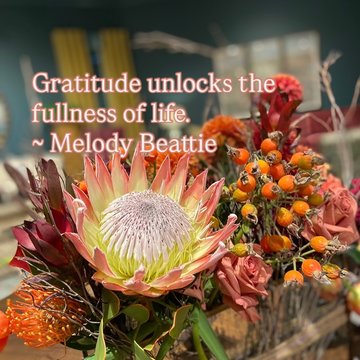 3745bcf1-38fd-4af6-b403-e5ede5fedad8