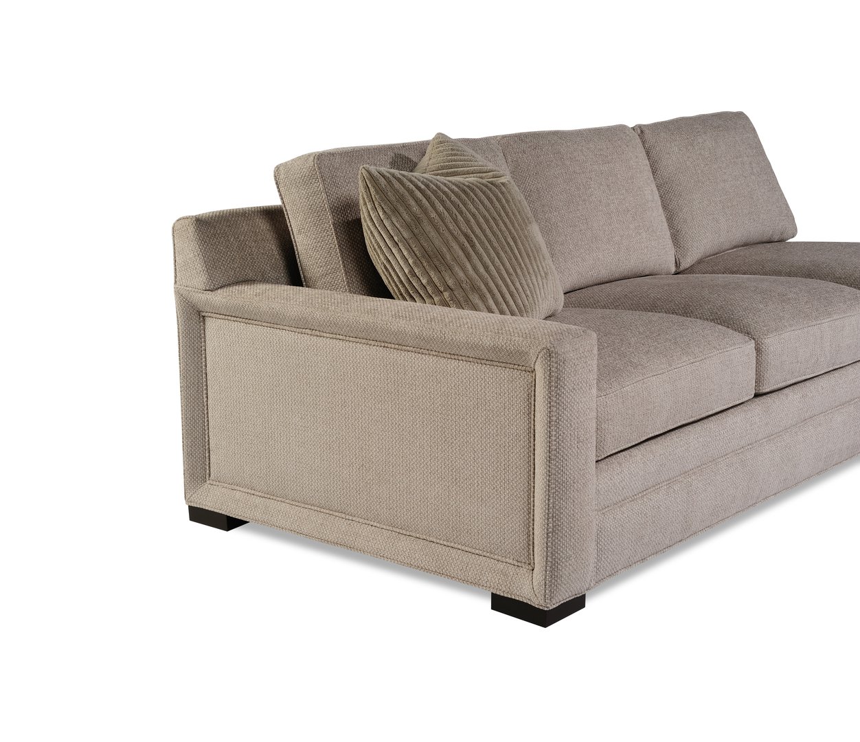 Hopkins Sectional Image