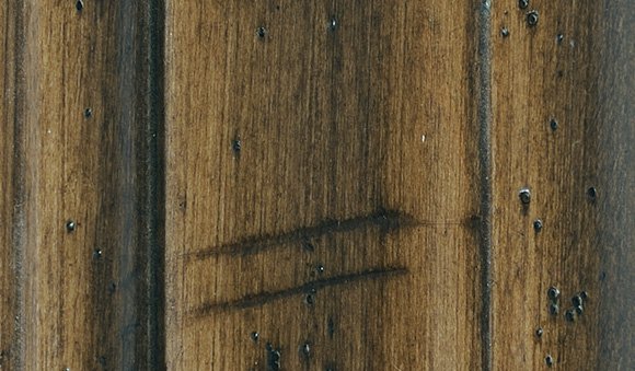 Acorn Standard Image