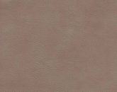 Aspen Hearthstone Image