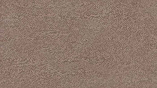 Aspen Hearthstone Image