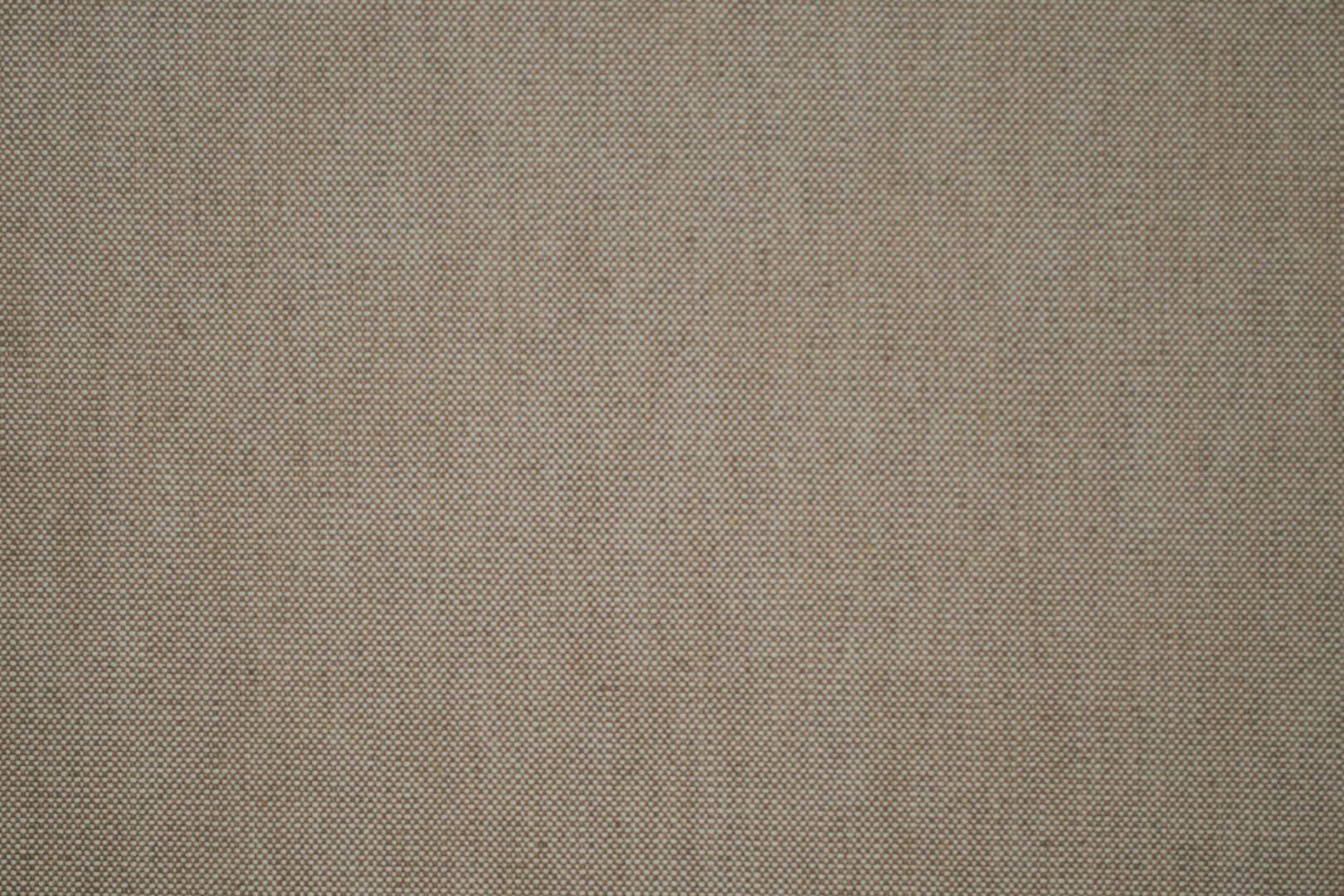 BASKERVILLE CHESTNUT