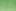 Brussels Shamrock