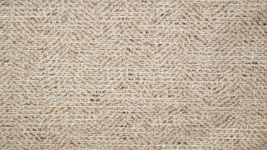 Brasile Hazelnut Image