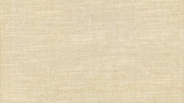 Brussels Pearl Image