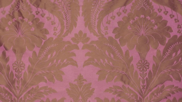 CAMELIA PEONY_resized.jpeg