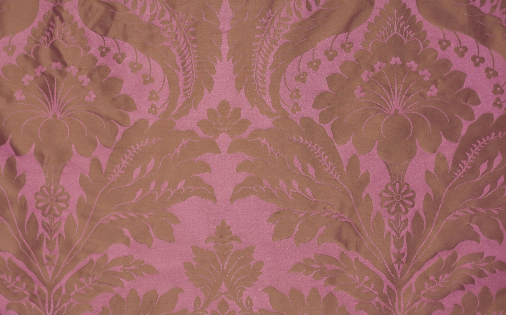 CAMELIA PEONY_resized.jpeg