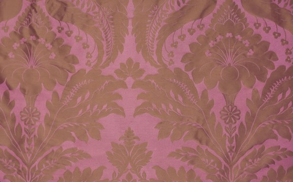 CAMELIA PEONY_resized.jpeg