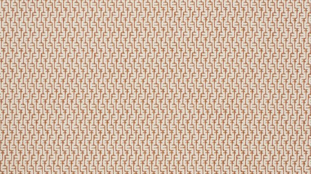 CASCADE DRIFTWOOD_cropped.jpeg