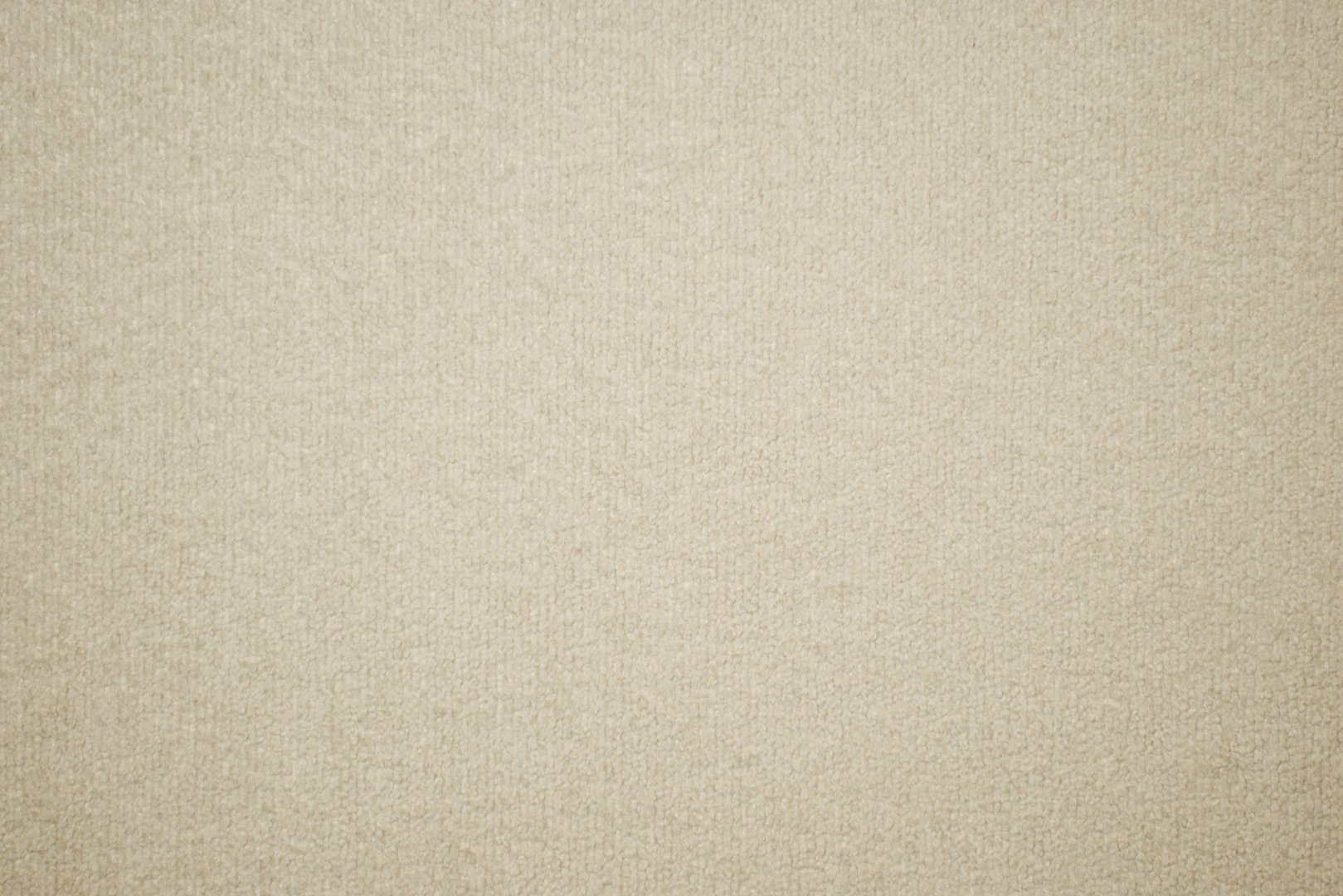 CHOUCLE IVORY | Taylor King CHOUCLE IVORY | Taylor King