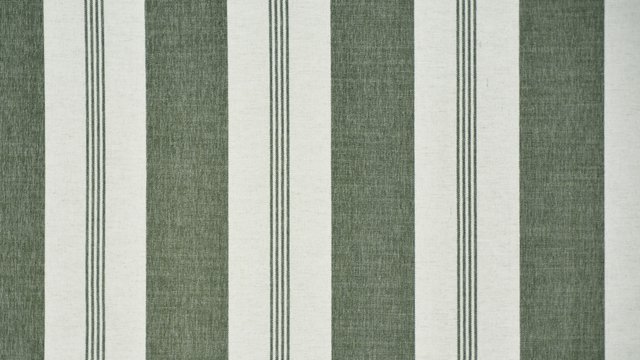 COASTLINE OLIVE copy.jpg