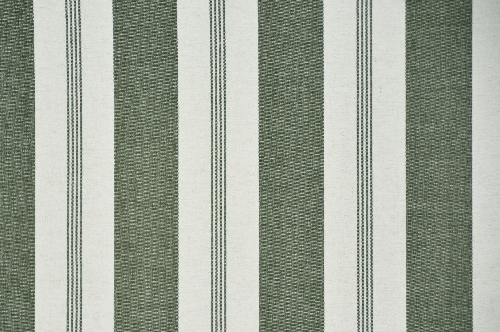 COASTLINE OLIVE copy.jpg