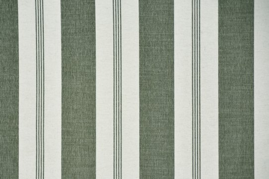 COASTLINE OLIVE copy.jpg