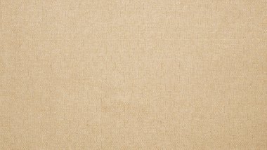 Candid Parchment Image