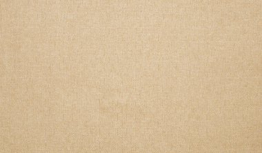 Candid Parchment Image