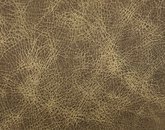 Cheyenne Sawbuck_final.jpg