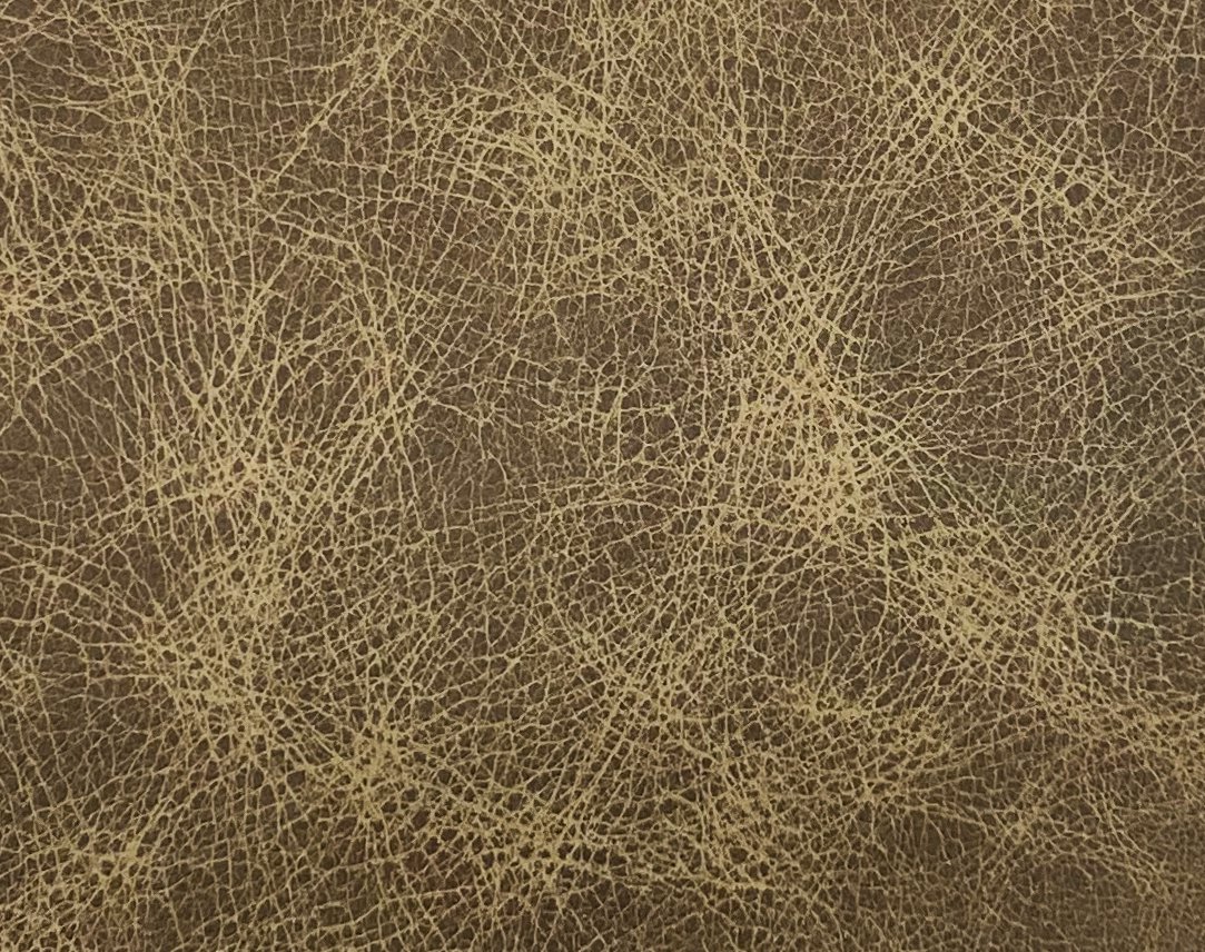 Cheyenne Sawbuck_final.jpg