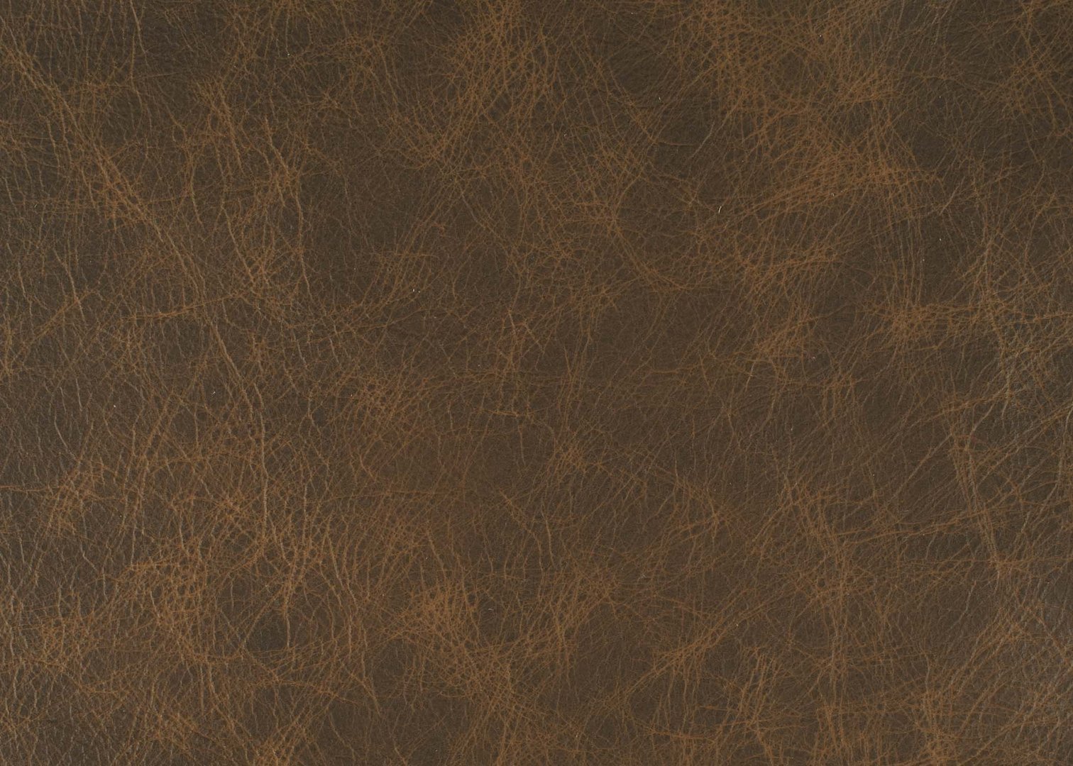 Cheyenne Stirrup.jpg