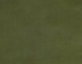 Cortina Tequila Lime Image