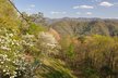 Appalachian Mountains