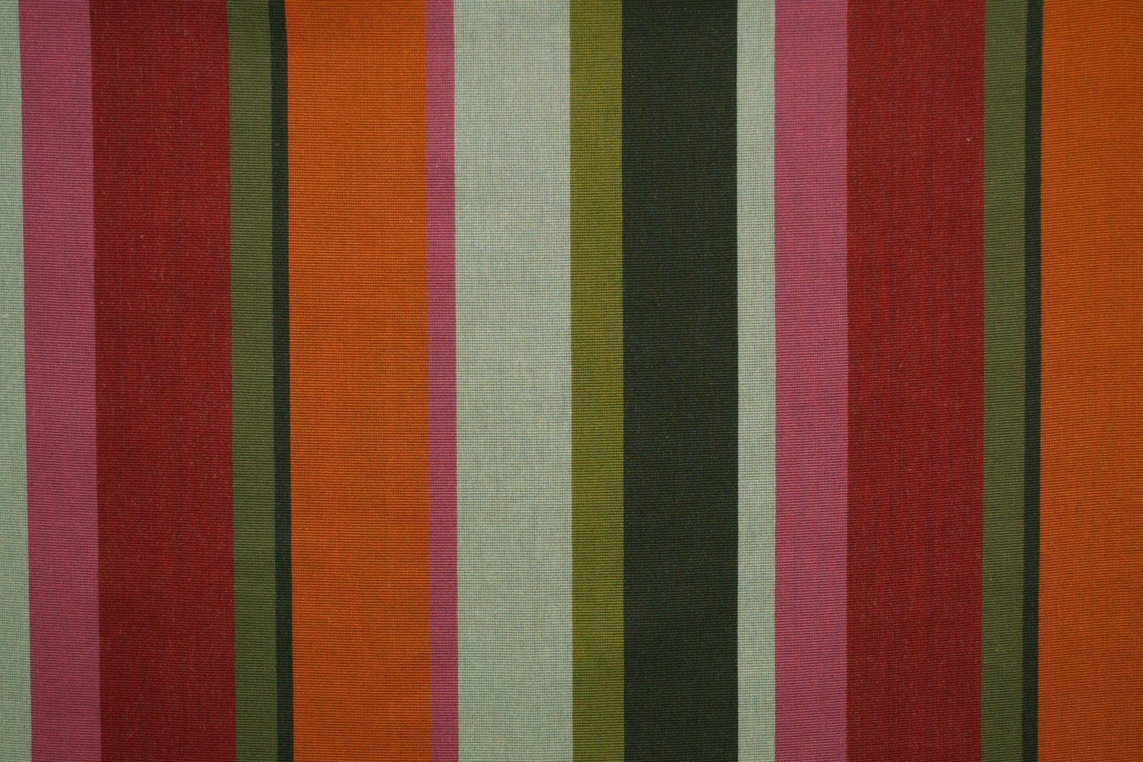 EL CAMINITO TAMALE.jpg