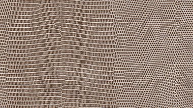 Everglades Sawgrass Image