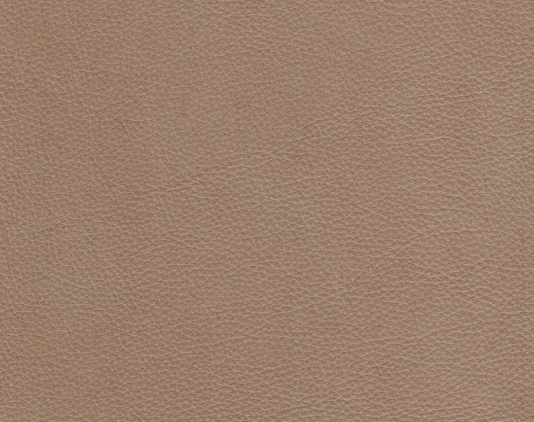 Evolution Bavarian Image