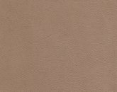 Evolution Bavarian Image