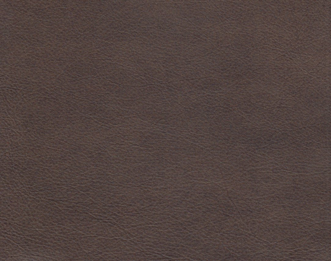 Evolution Caribou Image