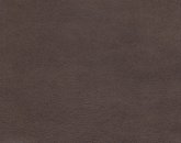 Evolution Caribou Image