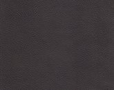 Evolution Java Image