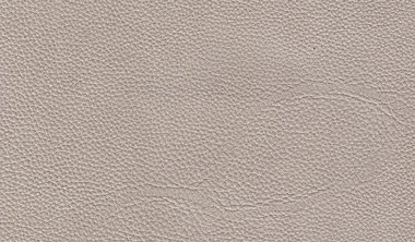 Evolution Pumice Image