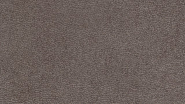 Evolution Silver Fox Image