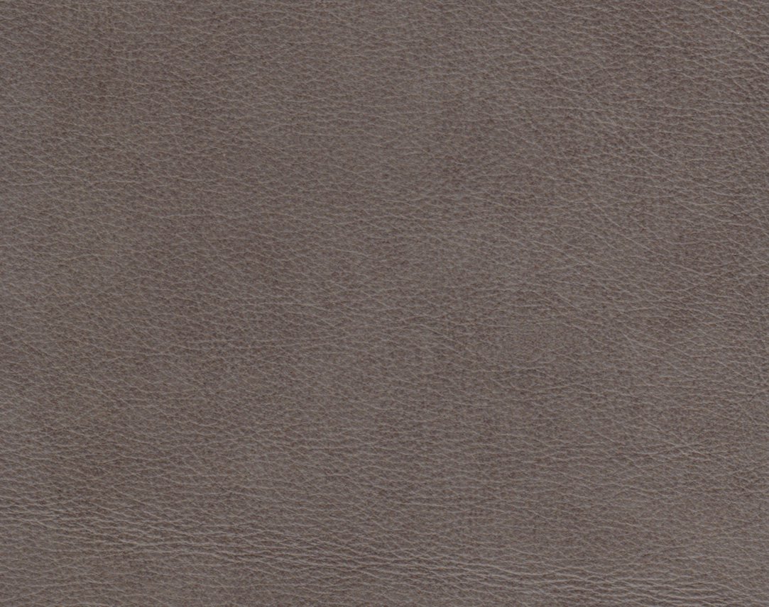 Evolution Silver Fox Image