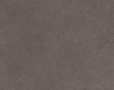 Evolution Silver Fox Image