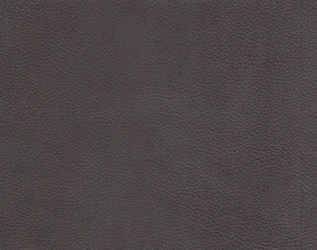 Evolution Smokey Shadow Image