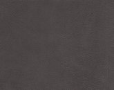 Evolution Smokey Shadow Image