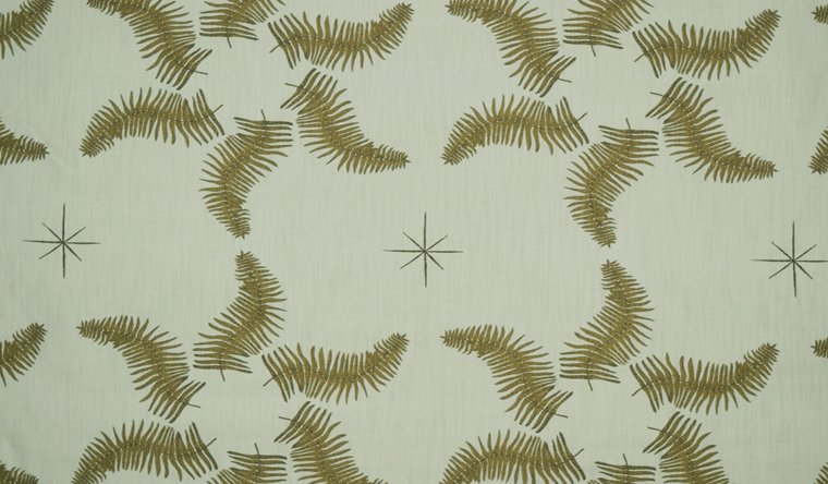 FERN STAR MOSS Image