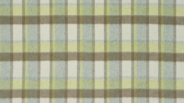 FIELDER PLAID SPRING_resized.jpg