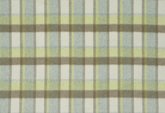 FIELDER PLAID SPRING_resized.jpg