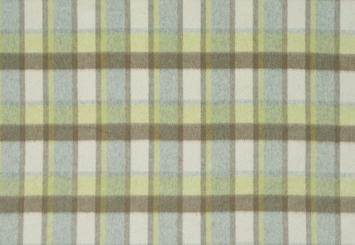 FIELDER PLAID SPRING_resized.jpg