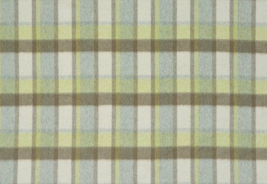FIELDER PLAID SPRING_resized.jpg