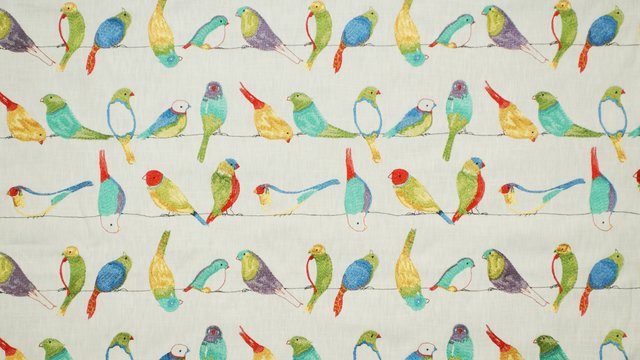 FLYING COLOR JUBILEE.jpg