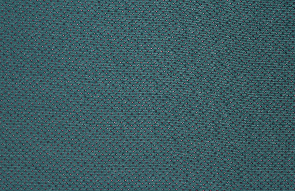 FRANCESCO CALYPSO_resized.jpg