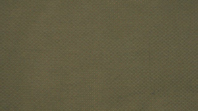 FRANCESCO IVY_cropped.jpeg