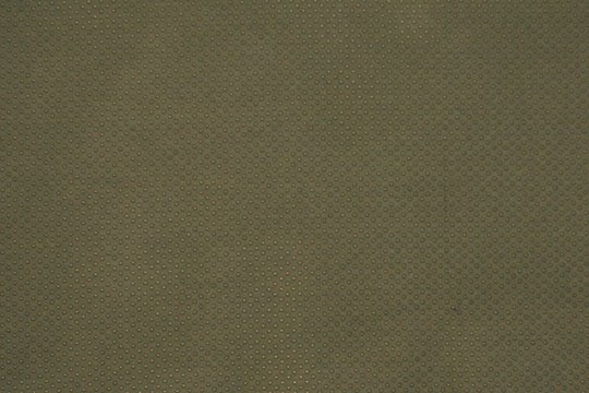 FRANCESCO IVY_cropped.jpeg