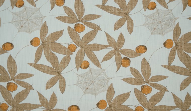 GISELE'S WEB APRICOT Image