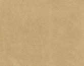 Gaucholin Seasons Image