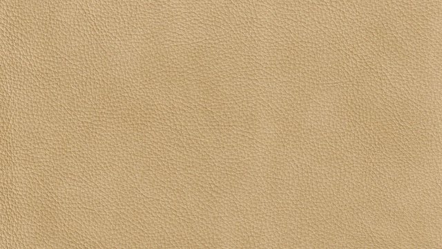 Gaucholin Seasons Image