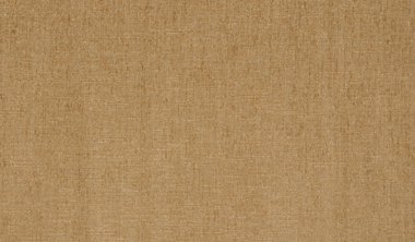 Granbury Acorn Image